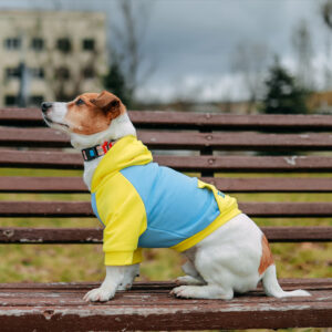 Franklin Bravery Yellow & Blue