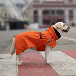 Rio Orange