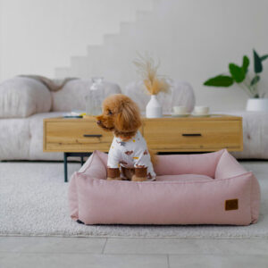 Albert Mauve Light