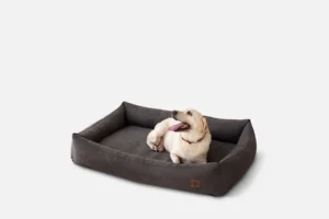Nolan Bed Dark Grey