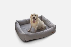 Nolan Bed Graphite