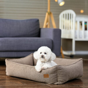 Albert Teddy Mocco