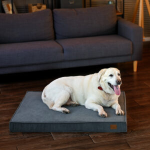 Nolan Velvet Grey