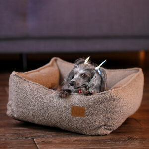 Henry Teddy Mocco
