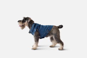 Oscar Denim