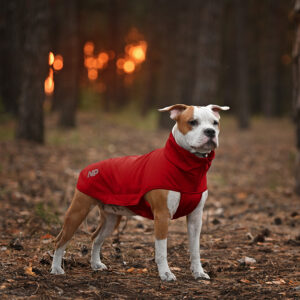 Softshell Ostin Red