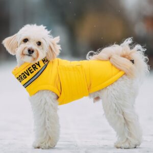 Bobby Bravery Yellow
