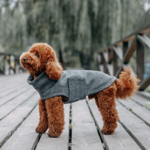 Patrick Dark Grey